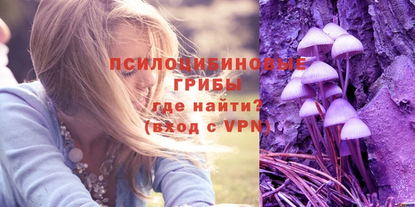 круглые Абаза