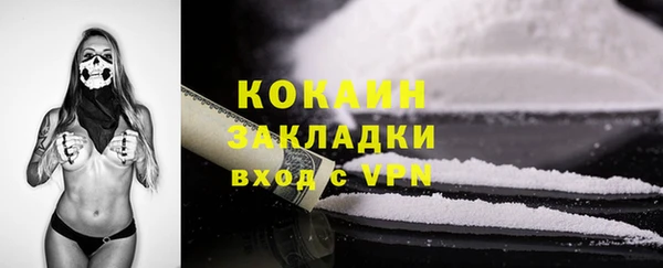 хмурый Новозыбков